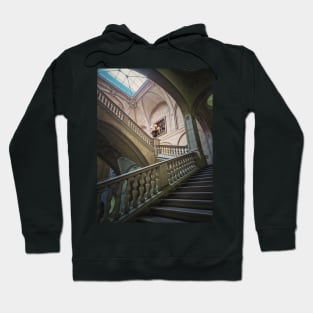 Louvre Palace architectural details Hoodie